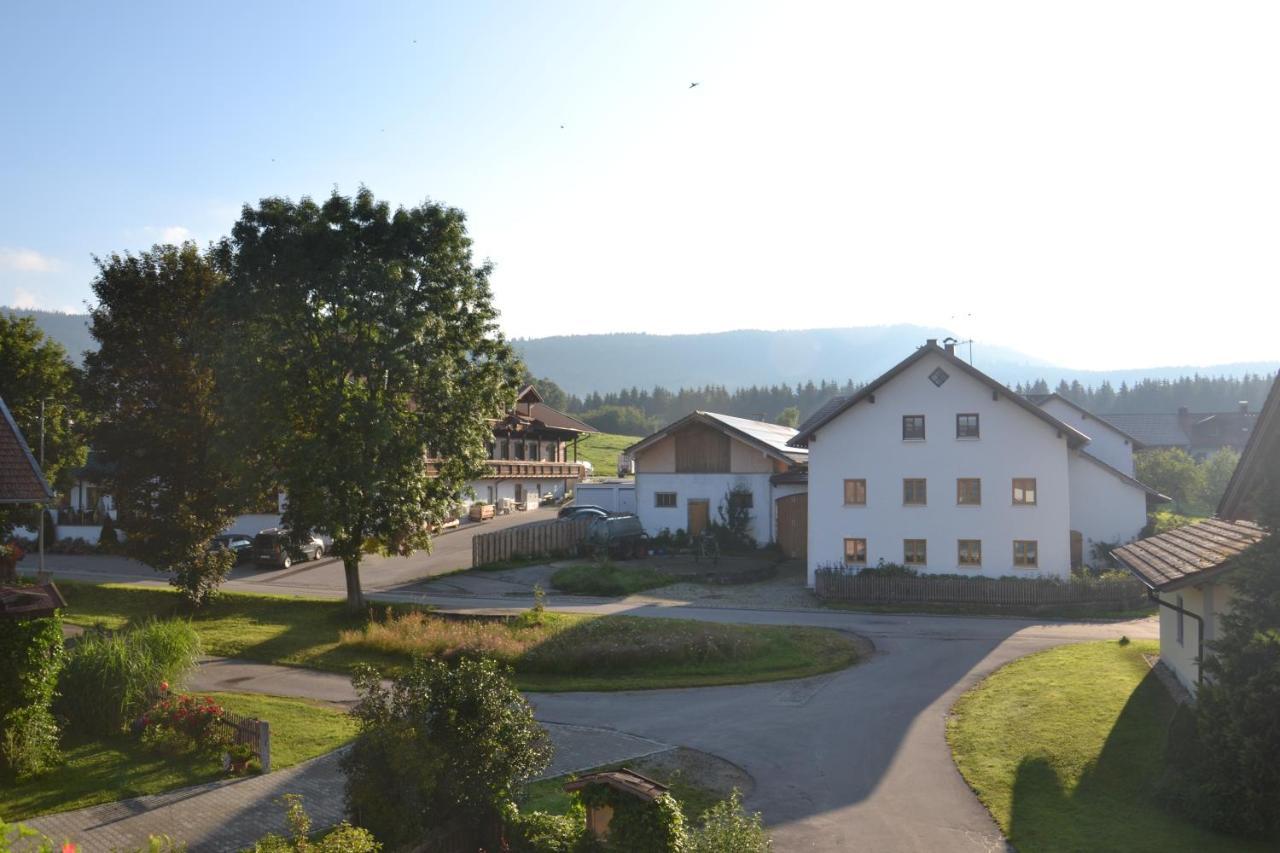 Hans Girgl Hof Apartment Langdorf  Bagian luar foto